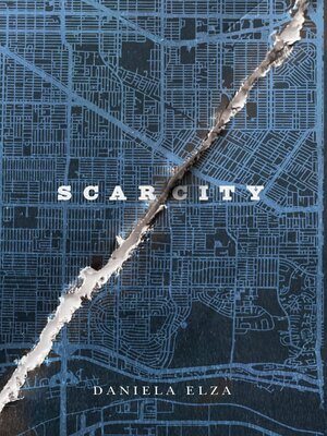 cover image of SCAR/CITY